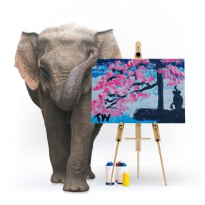 Paintings made by elephants at our elephant park and clinic in Chiang Mai, Thailand.
