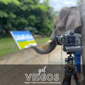 Get photos and videos taken when buying a painting made by our elephants.