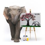Paintings made by elephants at our elephant park and clinic in Chiang Mai, Thailand.