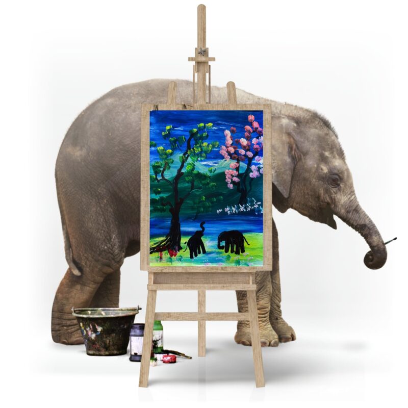 Cherry River by Elephant Tunwa