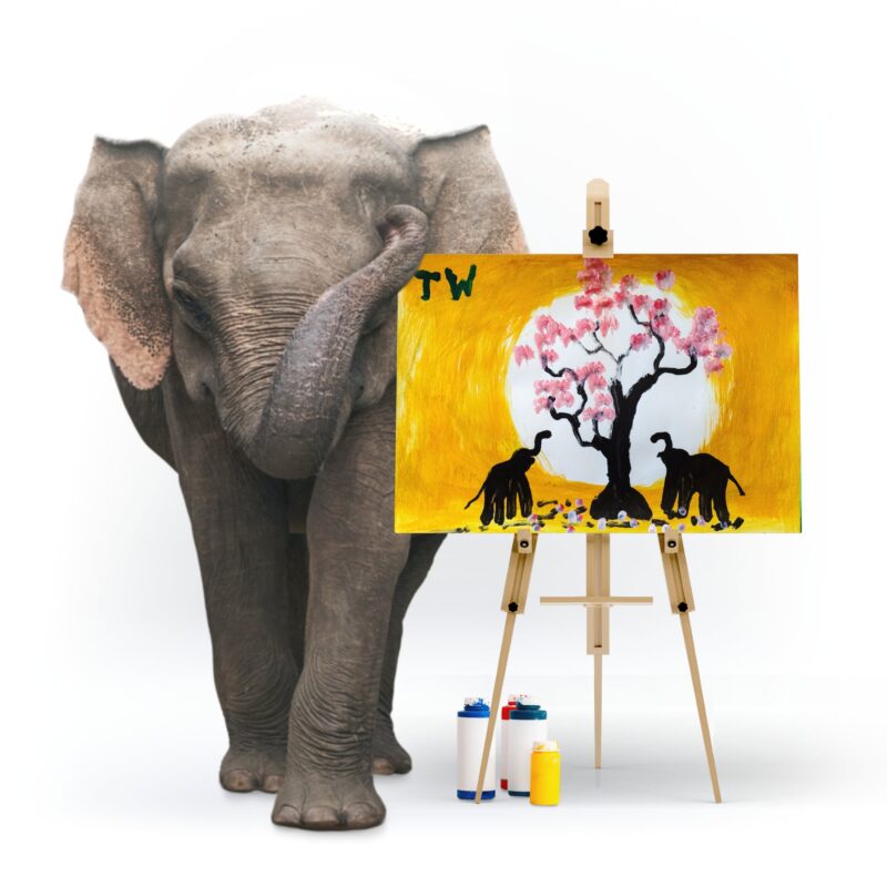 Sunrise Blossom | by Elephant Tunwa