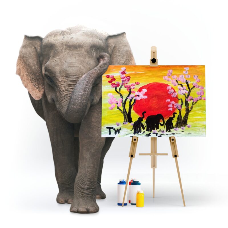 Land of Rising Sun | by Elephant Tunwa