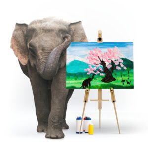 Tropical Sunset | By Elephant Tunwa | Elephant Art Online