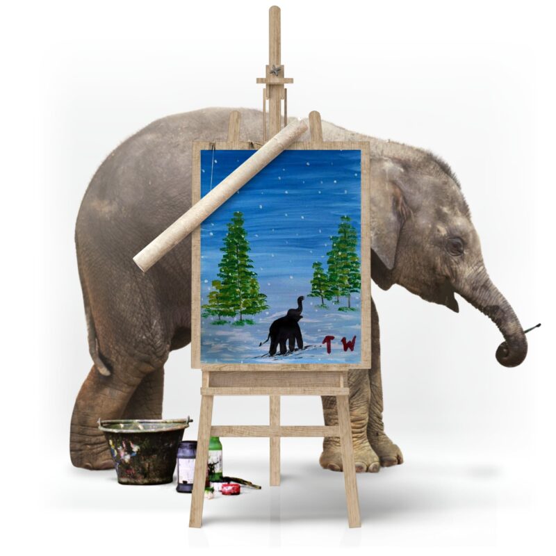 Silent Night | by Elephant Tunwa