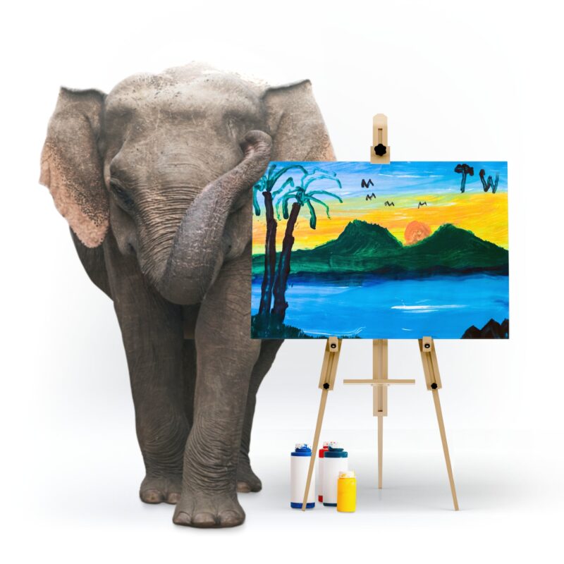 Tropical Sunset | by Elephant Tunwa